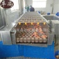 高温高压毛肚清洗设备厂家 家用小型气泡清洗机 水果清洗设备定制 丰尚自动化